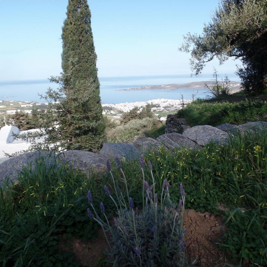 Paros Apartments Cottage Dış mekan fotoğraf