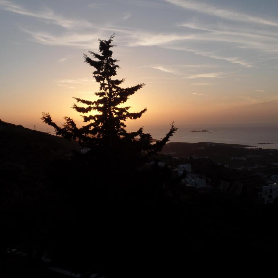Paros Apartments Cottage Dış mekan fotoğraf